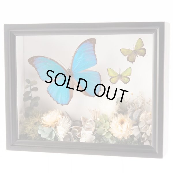 画像2: プリザーブドボックス（小箱）UVフィルム貼り (2)