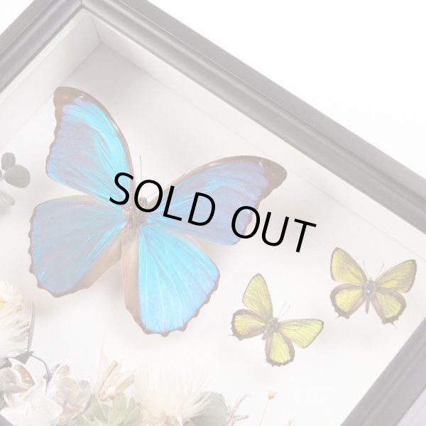 画像4: プリザーブドボックス（小箱）UVフィルム貼り (4)