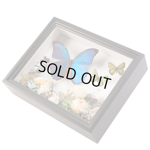 画像3: プリザーブドボックス（小箱）UVフィルム貼り (3)