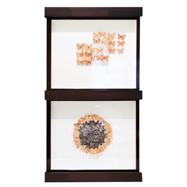 画像3: ドイツ箱飾り棚　縦・横（2箱）‐大箱用‐ 受注生産品 (3)